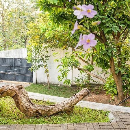 Battaramulla Boutique Villa Sri Jayewardenepura Kotte Eksteriør bilde